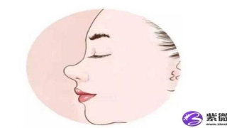 鼻梁和鼻翼(高鼻梁给人的感觉)