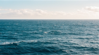 2020年72年鼠女运势(测运势2020年运势)_重复