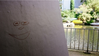 晨字取名禁忌(晨字取名女孩名字)