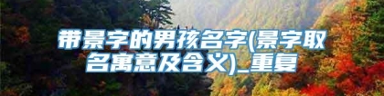 带景字的男孩名字(景字取名寓意及含义)_重复