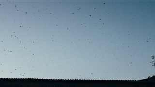 5划字的五行属性及释义(什么是“五行”)_重复