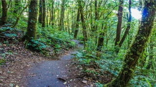 够力解梦册下载(够力经典梦册全解)_重复