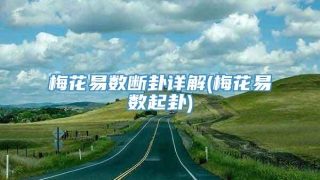 梅花易数断卦详解(梅花易数起卦)