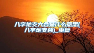 八字地支六合是什么意思(八字地支合)_重复