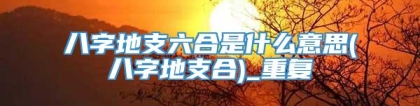 八字地支六合是什么意思(八字地支合)_重复