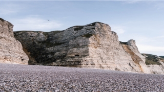 带懿字的男孩名字(取名带懿字的含义)