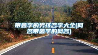 带鑫字的男孩名字大全(网名带鑫字的网名)