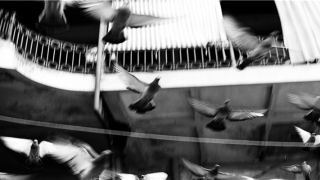 男人面相痣大全图解(地阁方圆面相)