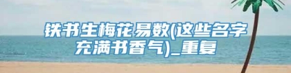 铁书生梅花易数(这些名字充满书香气)_重复
