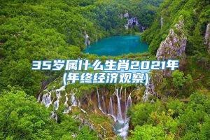 35岁属什么生肖2021年(年终经济观察)