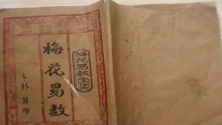 梅花易数除8除尽(梅花易数甘二占)