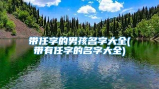 带任字的男孩名字大全(带有任字的名字大全)
