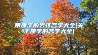 带康字的男孩名字大全(关于康字的名字大全)