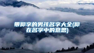 带仰字的男孩名字大全(仰在名字中的意思)