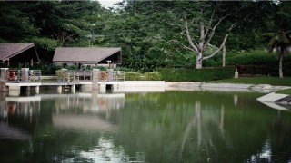 八字比肩多的男人(八字中怎样断事)