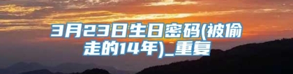 3月23日生日密码(被偷走的14年)_重复