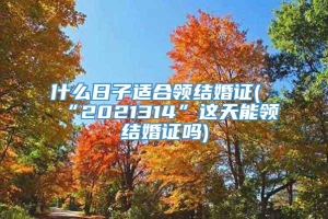 什么日子适合领结婚证(“2021314”这天能领结婚证吗)