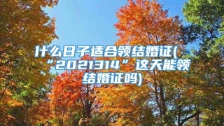 什么日子适合领结婚证(“2021314”这天能领结婚证吗)
