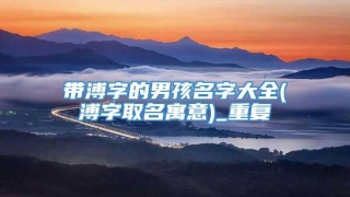 带溥字的男孩名字大全(溥字取名寓意)_重复