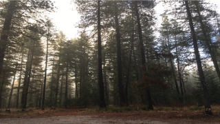 安康算命网流年详批(通过流年吉凶断2018年运势)