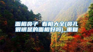 面相鼻子 看相大全(鼻孔很明显的面相好吗)_重复