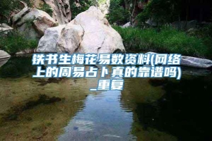 铁书生梅花易数资料(网络上的周易占卜真的靠谱吗)_重复