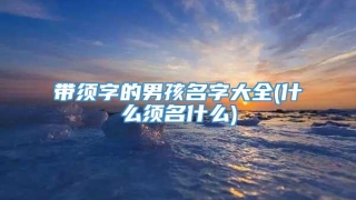 带须字的男孩名字大全(什么须名什么)