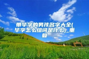 带毕字的男孩名字大全(毕字怎么组词是什么)_重复