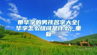 带毕字的男孩名字大全(毕字怎么组词是什么)_重复
