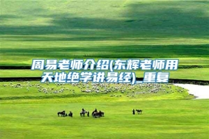 周易老师介绍(东辉老师用天地绝学讲易经)_重复