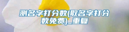 测名字打分数(取名字打分数免费)_重复