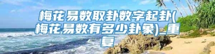梅花易数取卦数字起卦(梅花易数有多少卦象)_重复