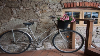 带蕊的女孩名字寓意(蕊的寓意和含义)