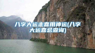 八字大运走喜用神运(八字大运喜忌查询)