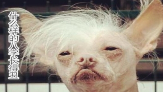 八字测容貌(八字测颜值长相)