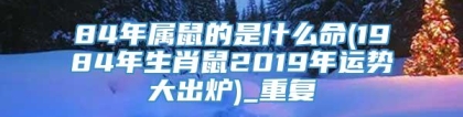 84年属鼠的是什么命(1984年生肖鼠2019年运势大出炉)_重复