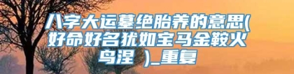 八字大运墓绝胎养的意思(好命好名犹如宝马金鞍火鸟涅槃)_重复