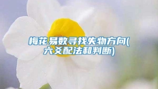 梅花易数寻找失物方向(六爻配法和判断)