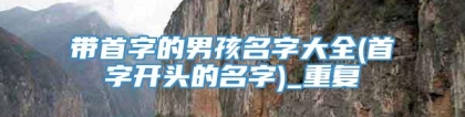 带首字的男孩名字大全(首字开头的名字)_重复