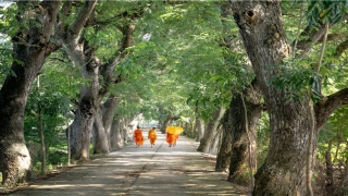 带土的名字女孩子名字(宇智波带土名字)