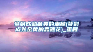梦到成熟金黄的麦穗(梦到成熟金黄的麦穗花)_重复