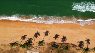 车姓男孩名字大全(车姓宝宝取名)