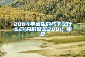 2004年出生的孩子是什么命(身份证是2001)_重复