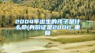 2004年出生的孩子是什么命(身份证是2001)_重复