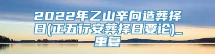 2022年乙山辛向造葬择日(正五行安葬择日要论)_重复