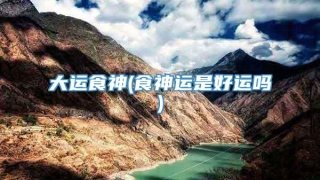 大运食神(食神运是好运吗)