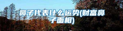 鼻子代表什么运势(财富鼻子面相)