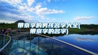 带京字的男孩名字大全(带京字的名字)