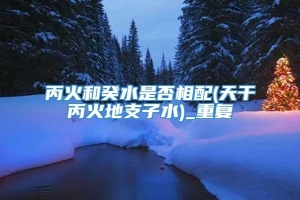 丙火和癸水是否相配(天干丙火地支子水)_重复