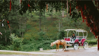 69年51岁属鸡的坎2021(69年51岁属鸡的婚姻如何)_重复